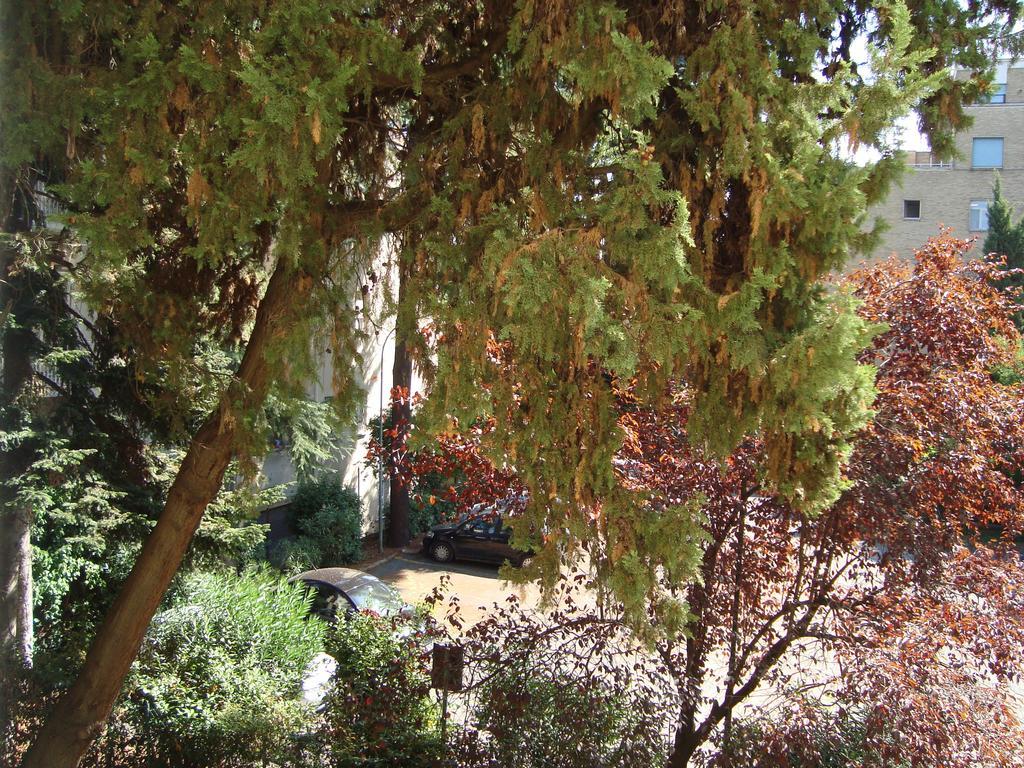 روما Villa Sciarra الغرفة الصورة